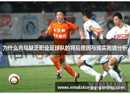 为什么青岛缺乏职业足球队的背后原因与现实困境分析