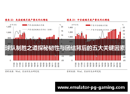 球队制胜之道探秘韧性与团结背后的五大关键因素