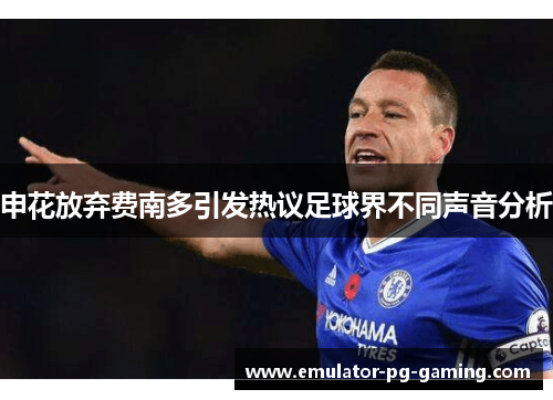 申花放弃费南多引发热议足球界不同声音分析