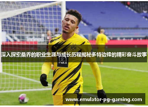 深入探索桑乔的职业生涯与成长历程揭秘多特边锋的精彩奋斗故事