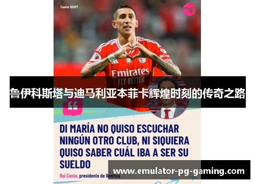 鲁伊科斯塔与迪马利亚本菲卡辉煌时刻的传奇之路